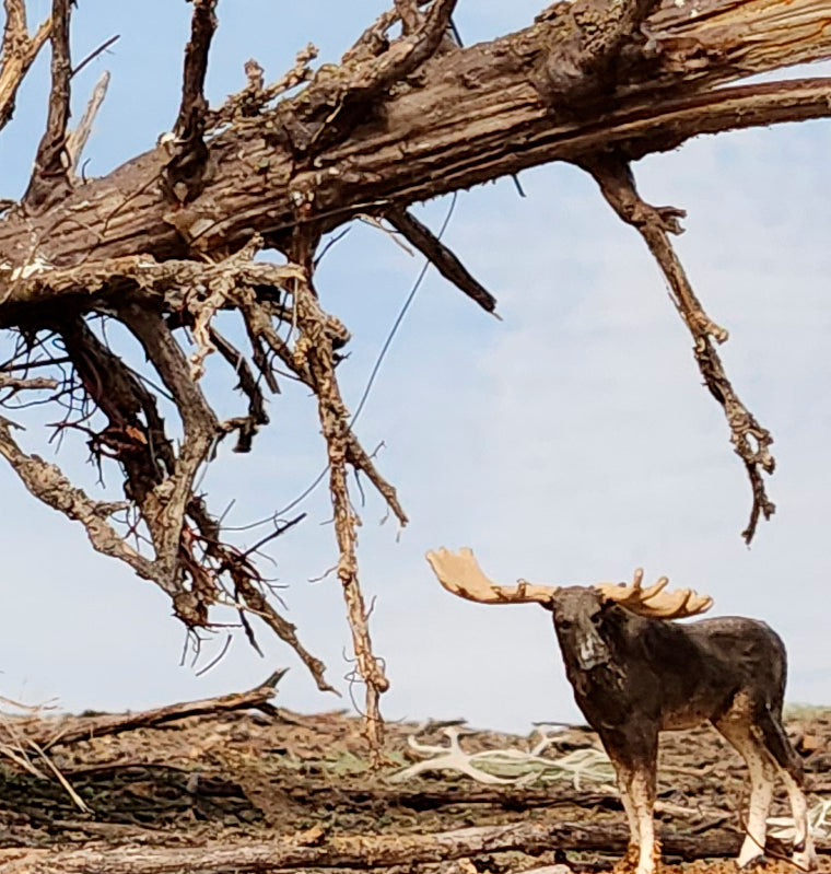 Downed SNAG Tree 13"
