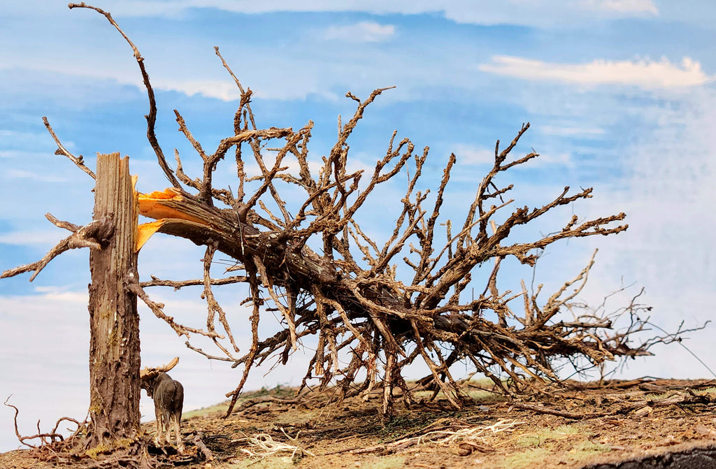 Downed SNAG Tree 13"