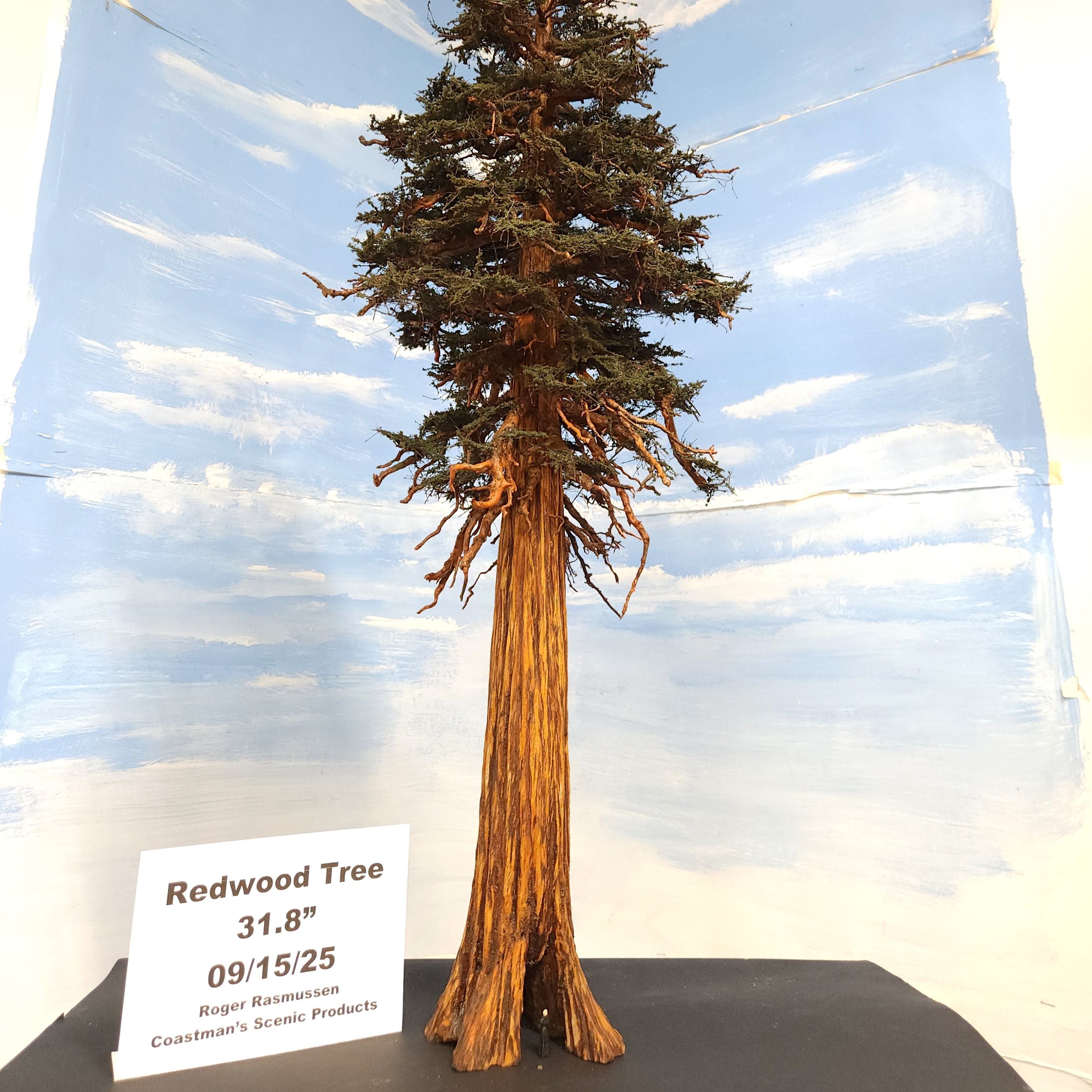 Redwood Tree 30 Inch