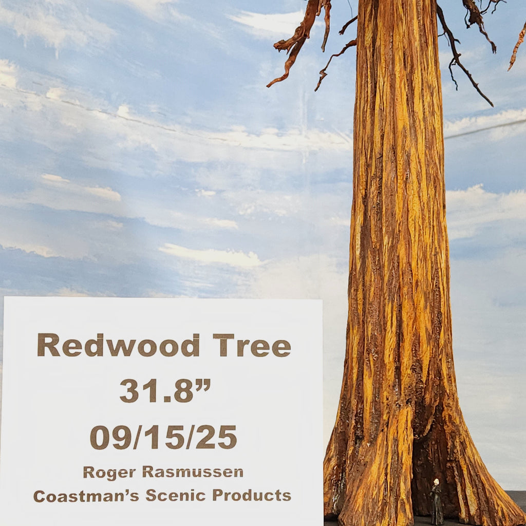 Redwood Tree 30 Inch
