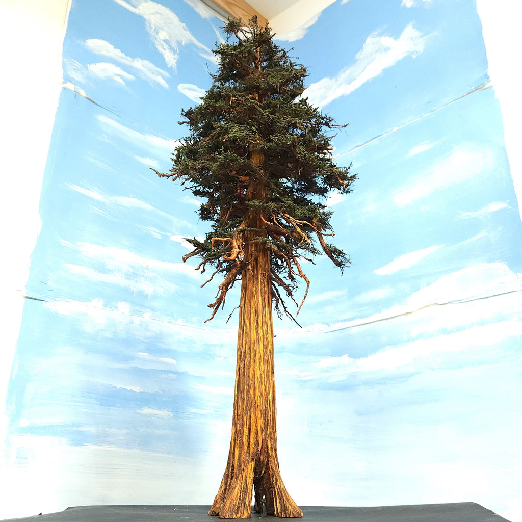 Redwood Tree 30 Inch