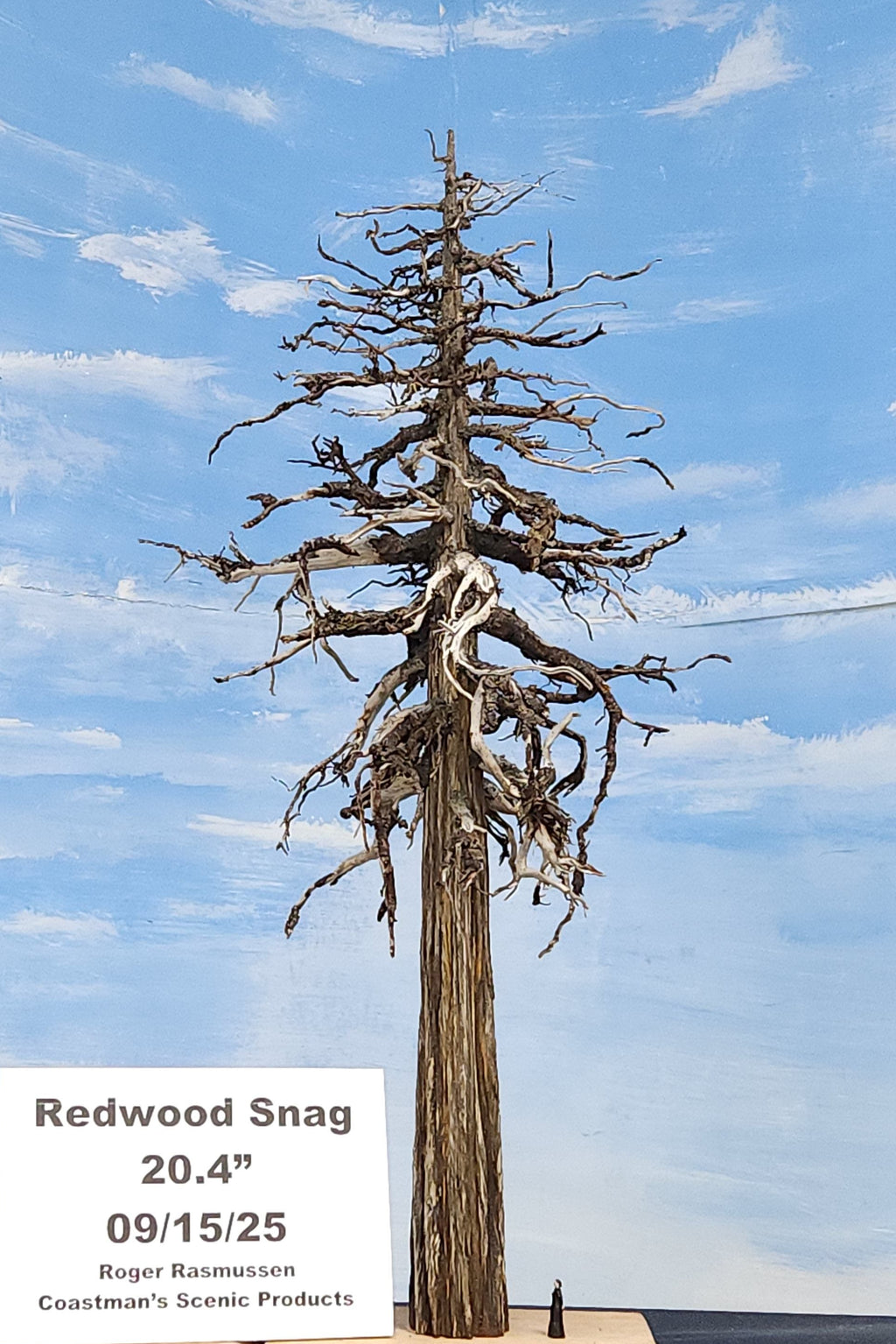 Model of a redwood snag tree 20 inches tall, by Roger Rasmussen, Coastman's Scenic Products