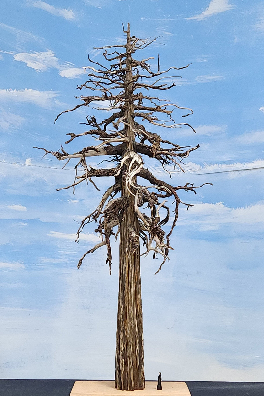Model Ghost or Snag Dead Tree 24 inches against a blue sky with white clouds