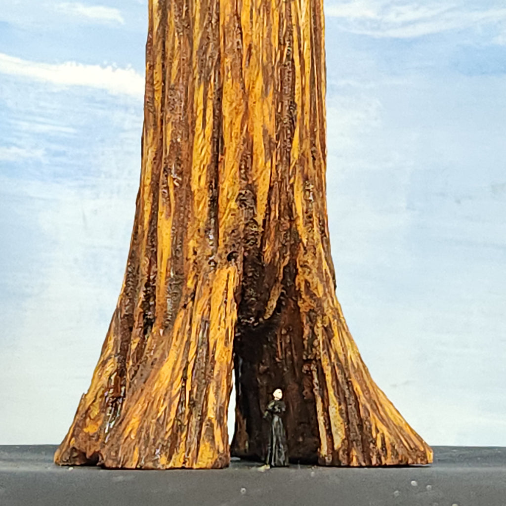Redwood Tree 30 Inch