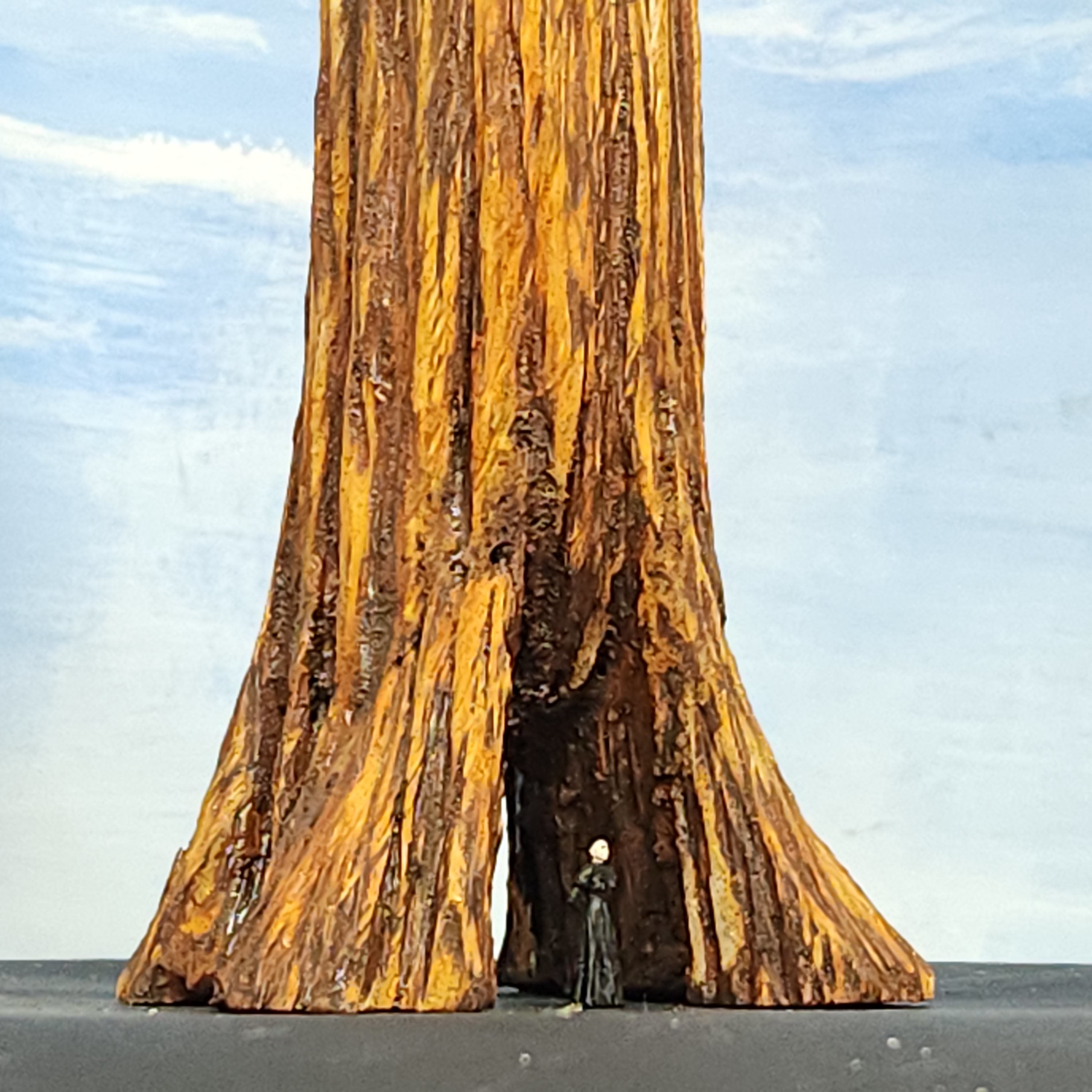 Redwood Tree 30 Inch