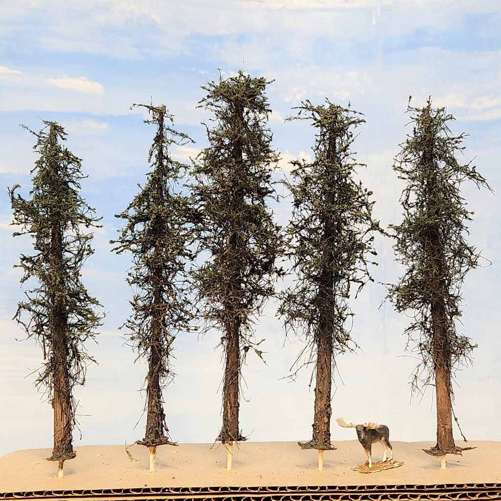 Lodgepole-Style Pine Trees, 5 to 7 inches, FIVE, 20, or 50