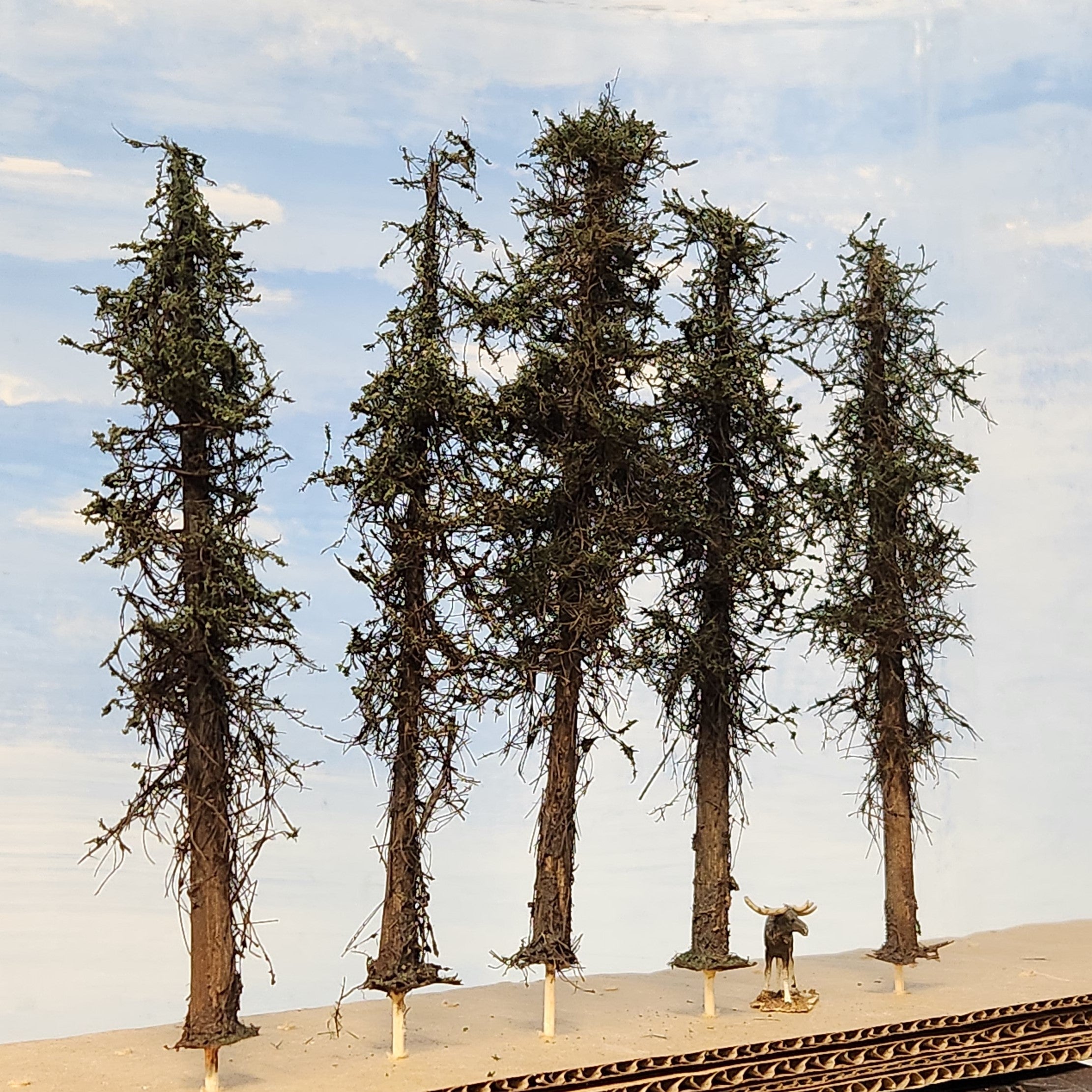 Lodgepole-Style Pine Trees, 5 to 7 inches, FIVE, 20, or 50