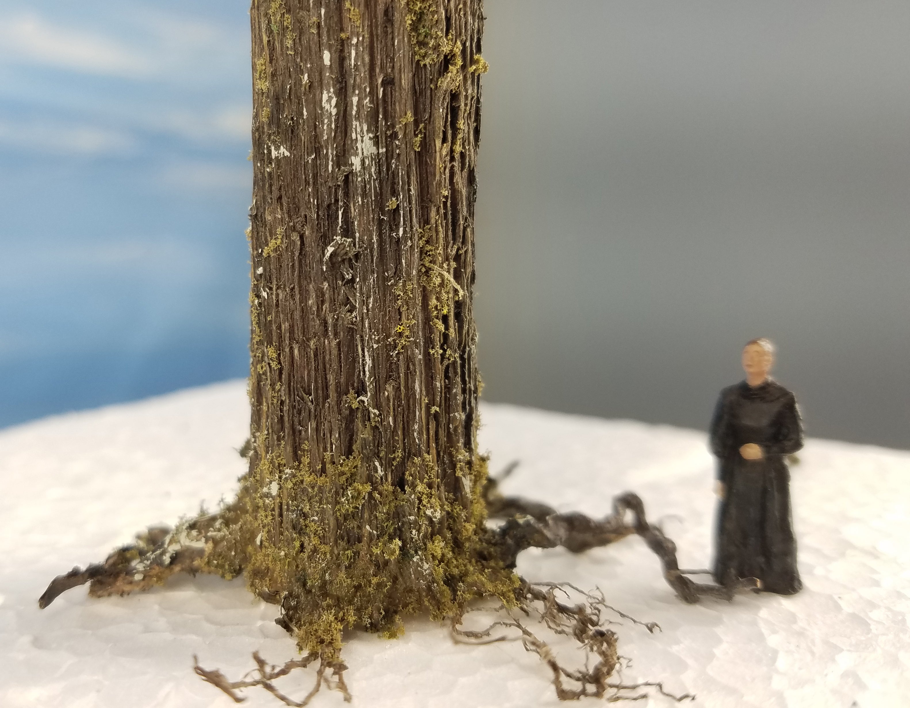 20 Inch Maximum Detail Fir