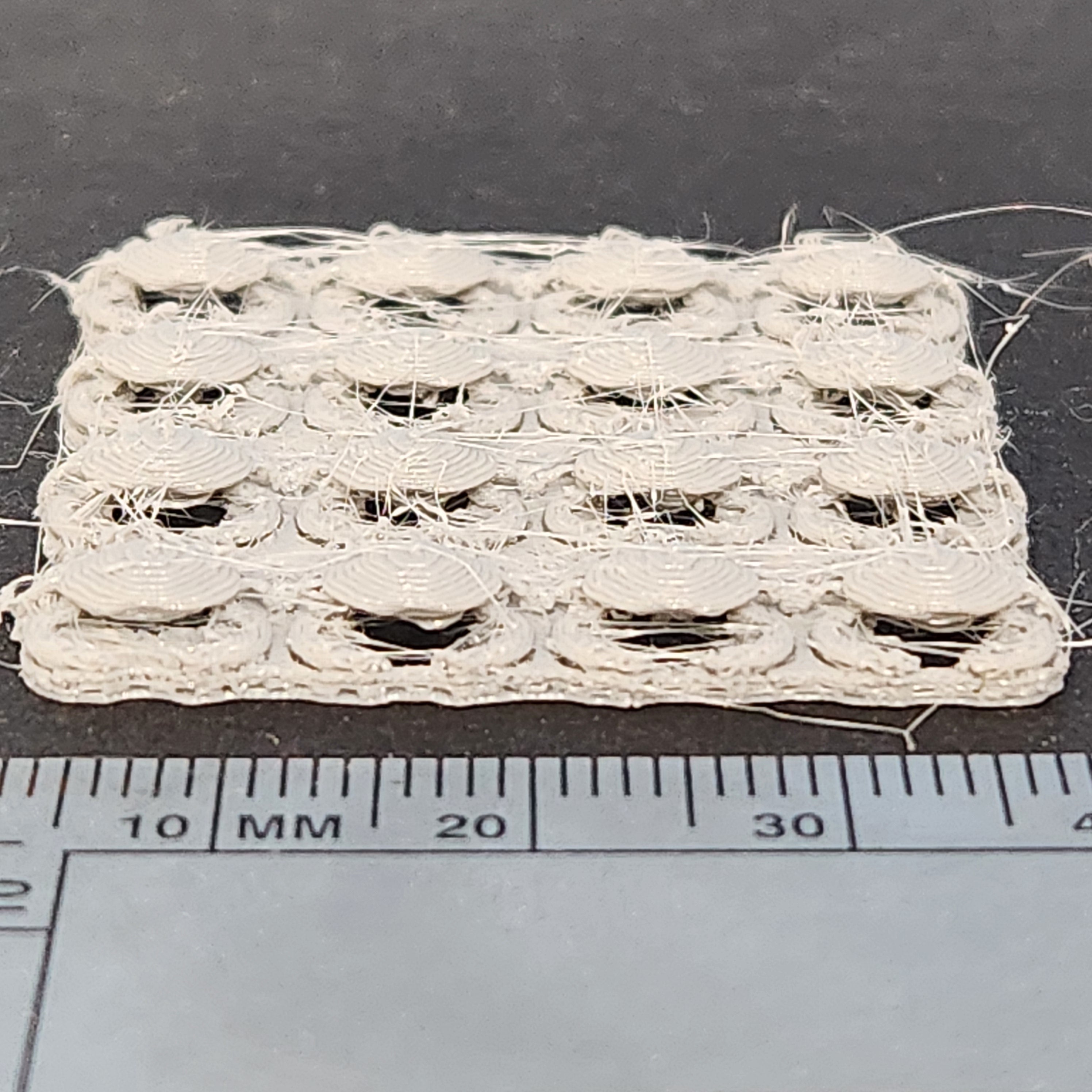 Crabs, 5.5mm, Dungeness, Unpainted