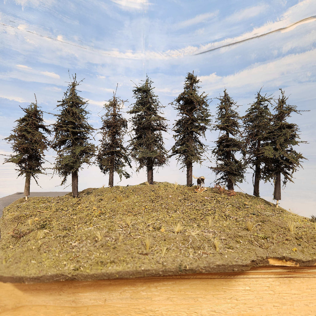 Standard Fir Trees, 4 to 6 Inches, EIGHT