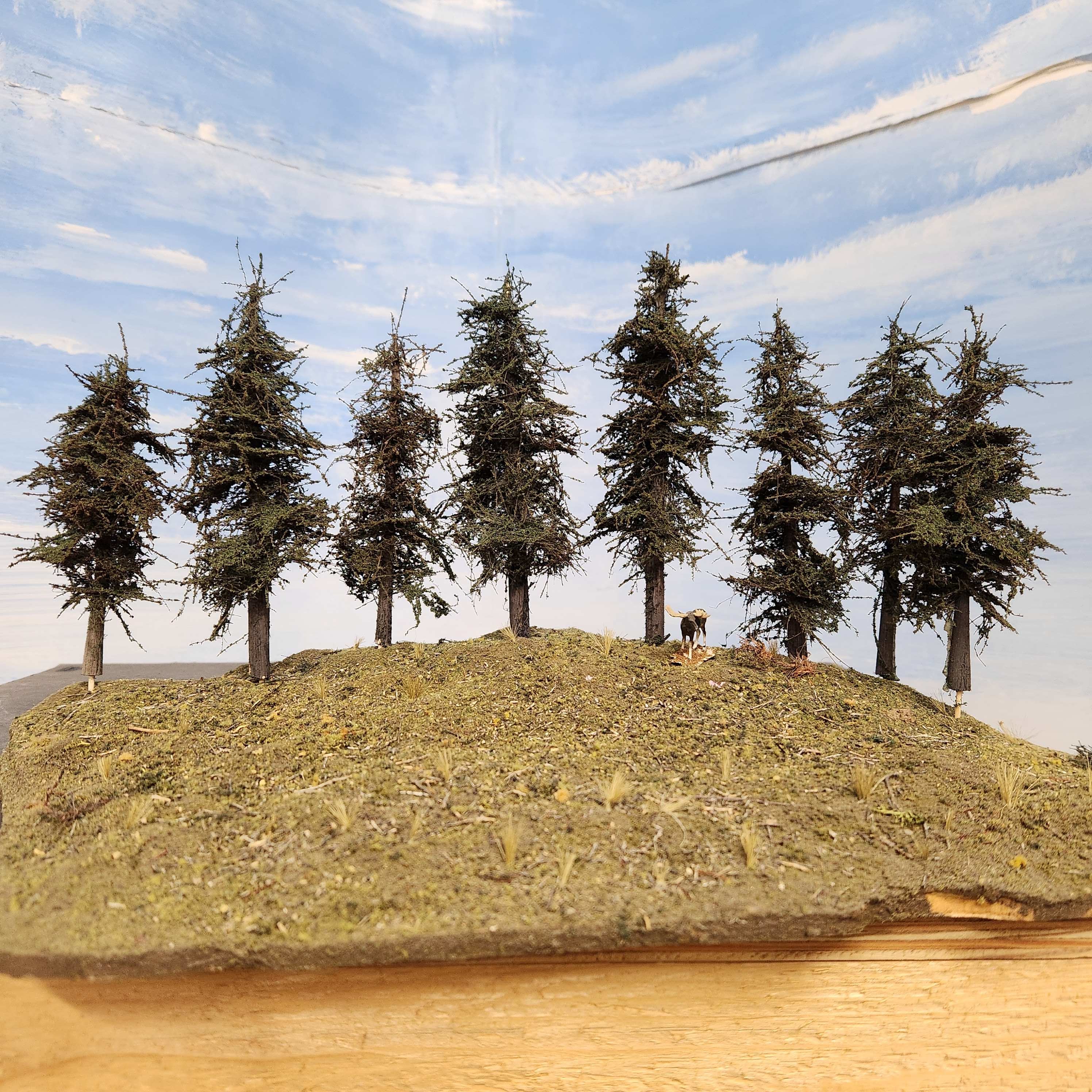 Standard Fir Trees, 4 to 6 Inches, EIGHT