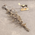 Lying Snag 4 to 6 Inches