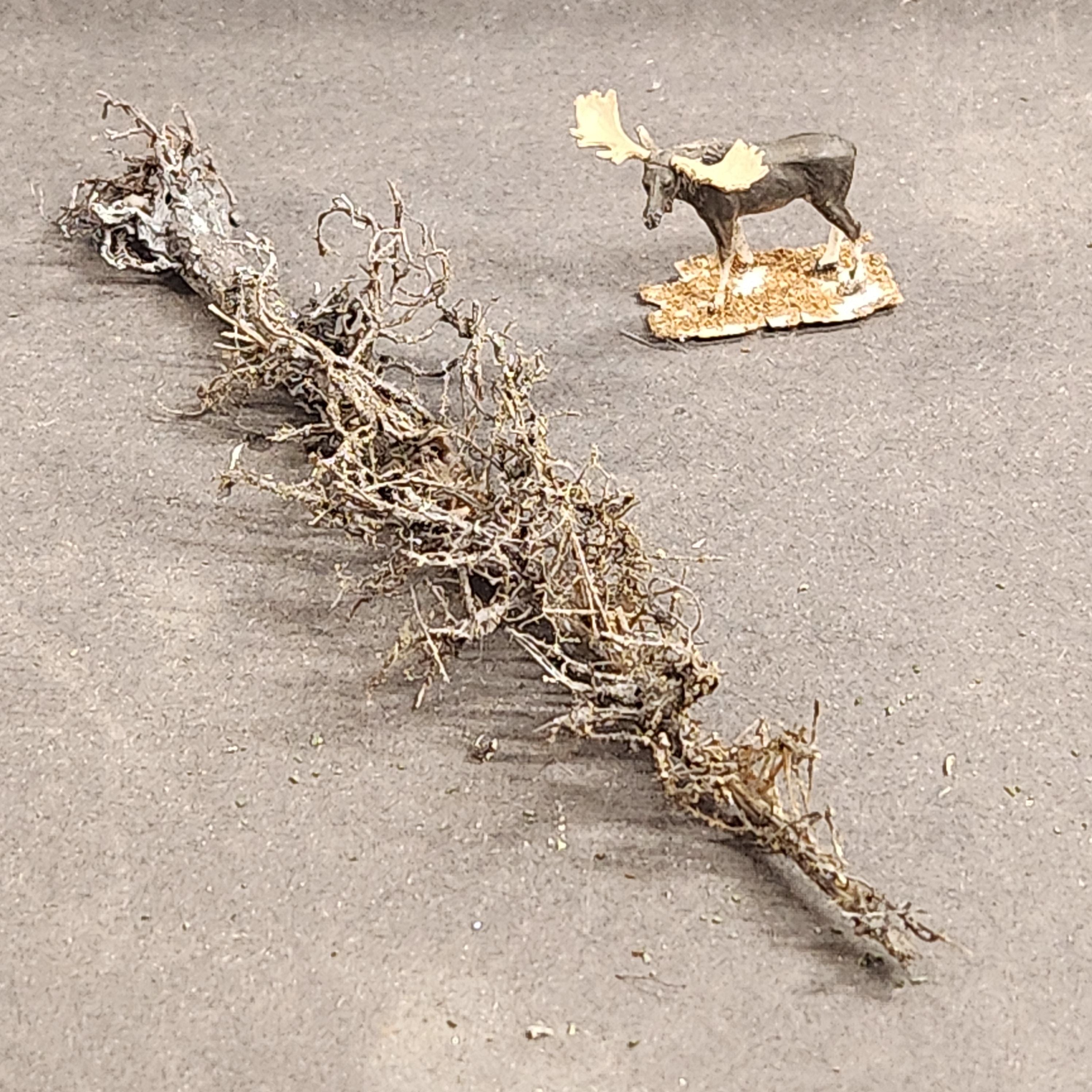 Lying Snag 4 to 6 Inches