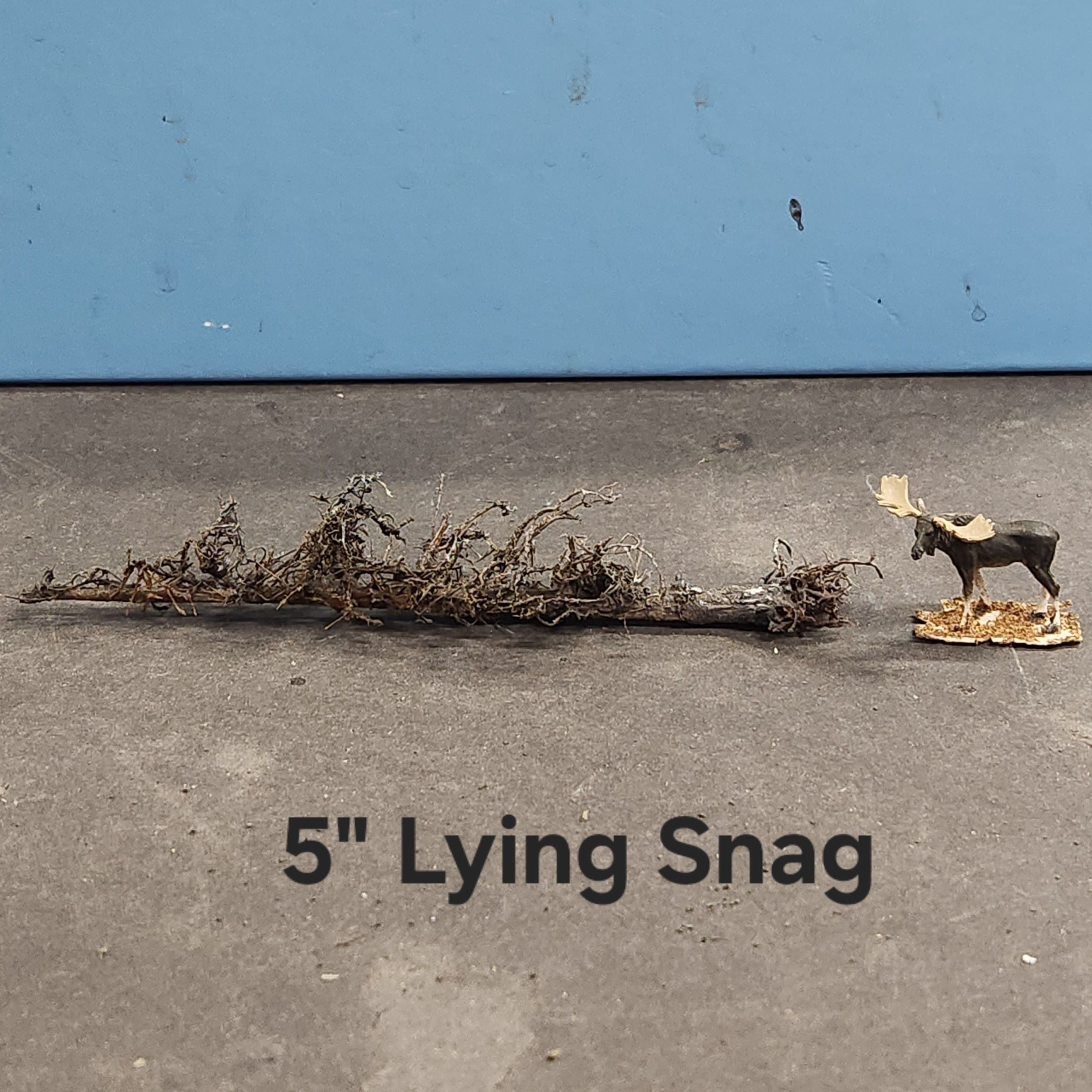 Lying Snag 4 to 6 Inches
