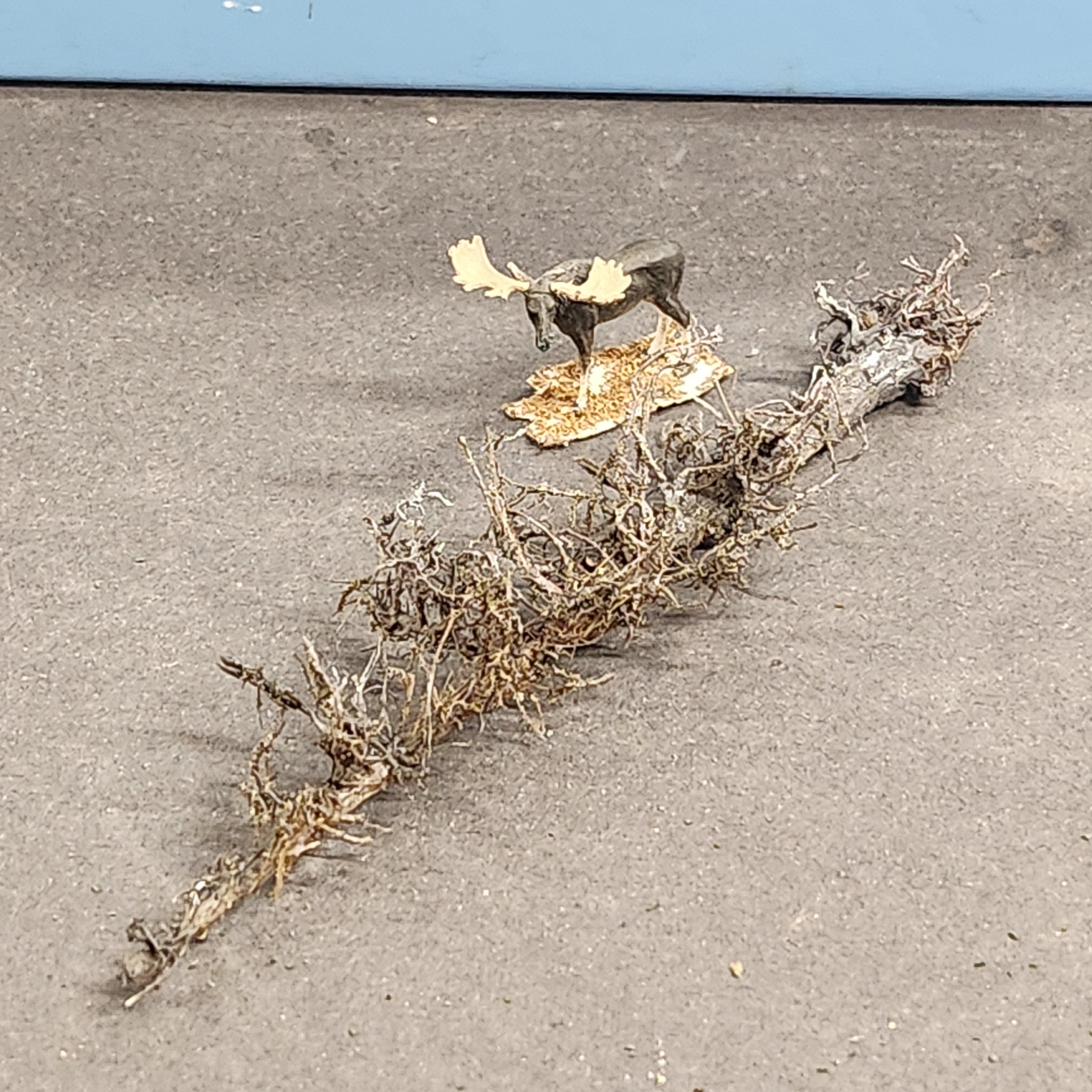 Lying Snag 4 to 6 Inches