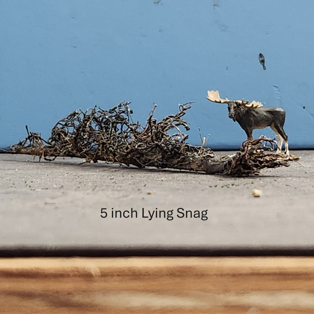 Lying Snag 4 to 6 Inches