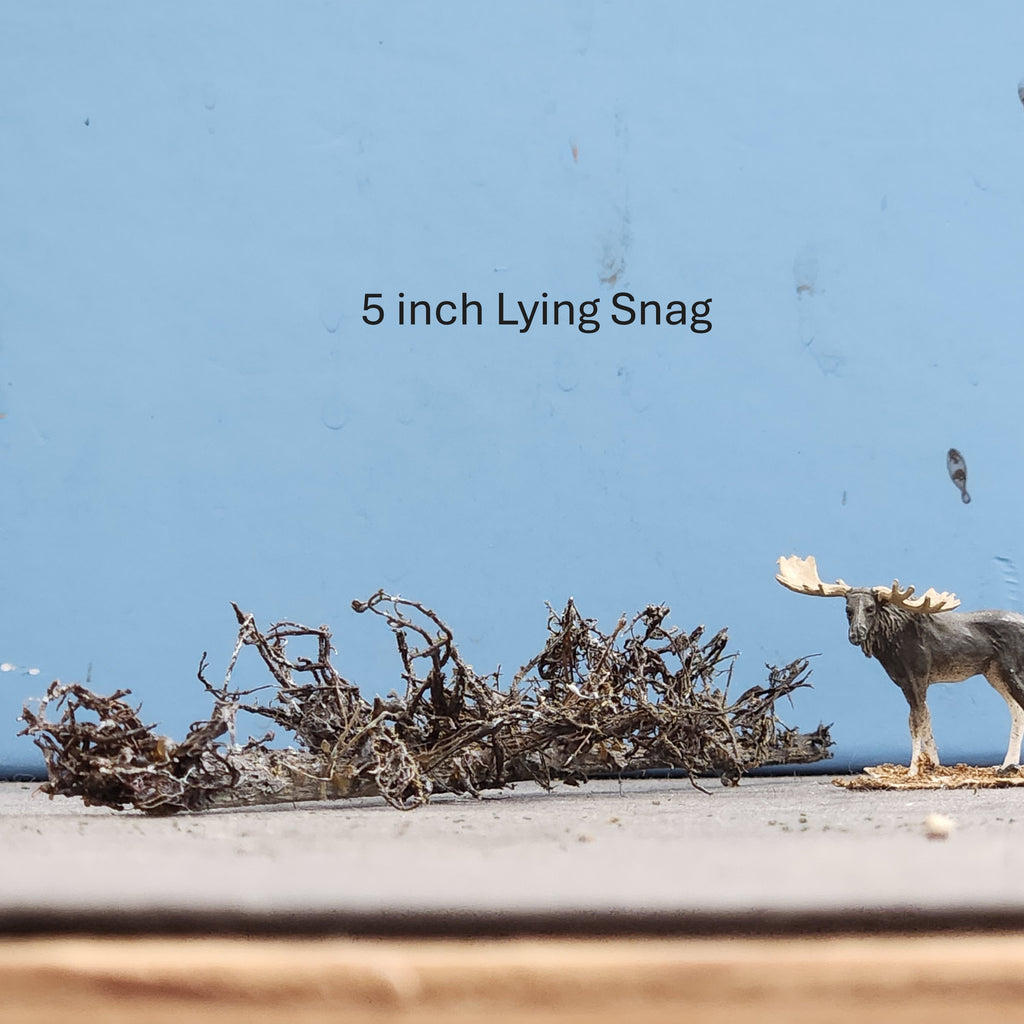 Lying Snag 4 to 6 Inches