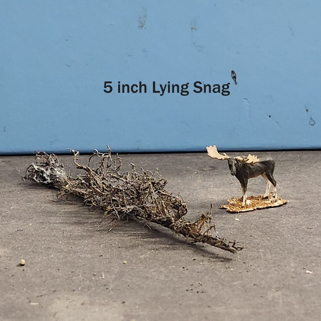 Lying Snag 4 to 6 Inches