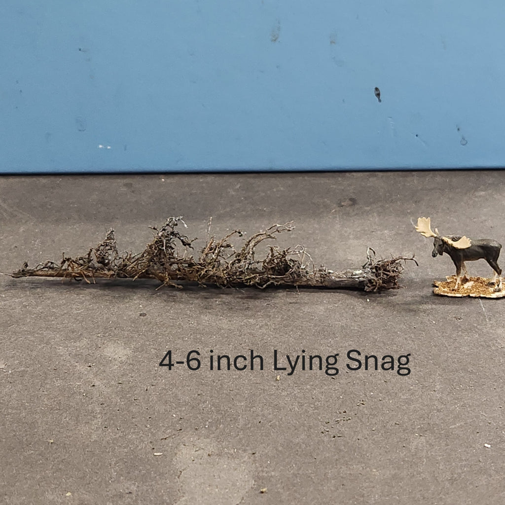 Lying Snag 4 to 6 Inches