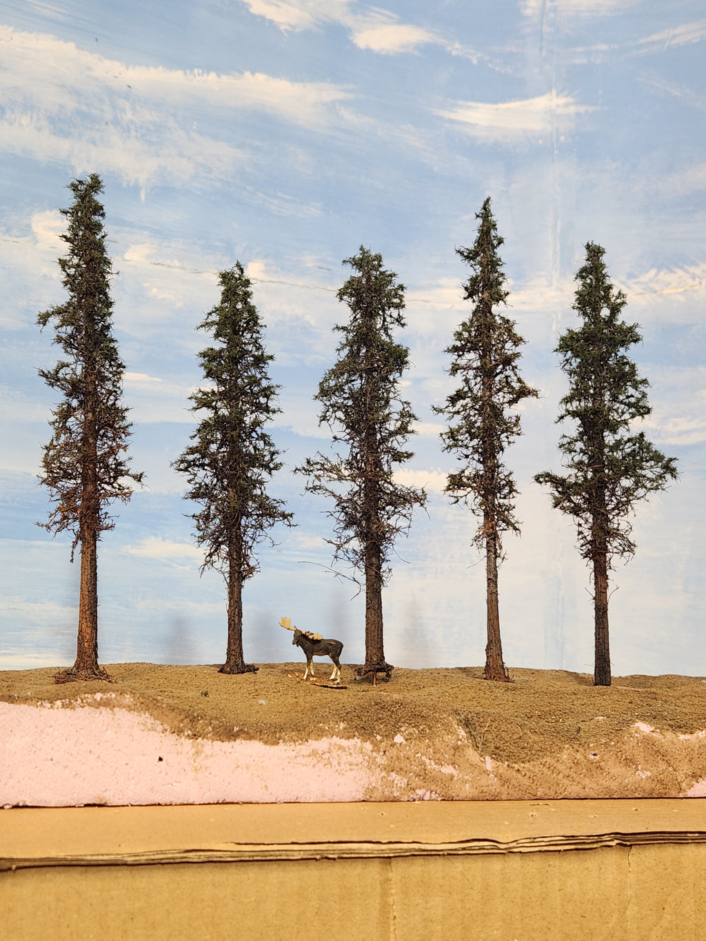 Lodgepole-Style Pines, 6 to 8 inches, Five Trees