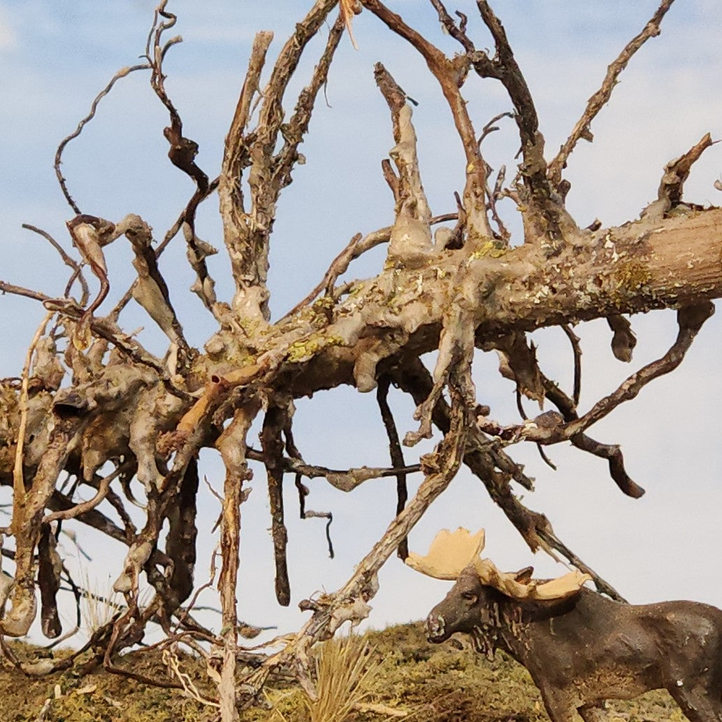 Downed Snag or Ghost Dead Tree, 7"