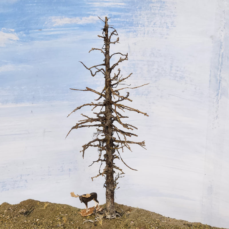 Overhead shot of a Snag Dead Ghost tree that is seven inches tall with HO scale Preiser Moose alongside, made by Roger Rasmussen at Coastman's Scenic Products