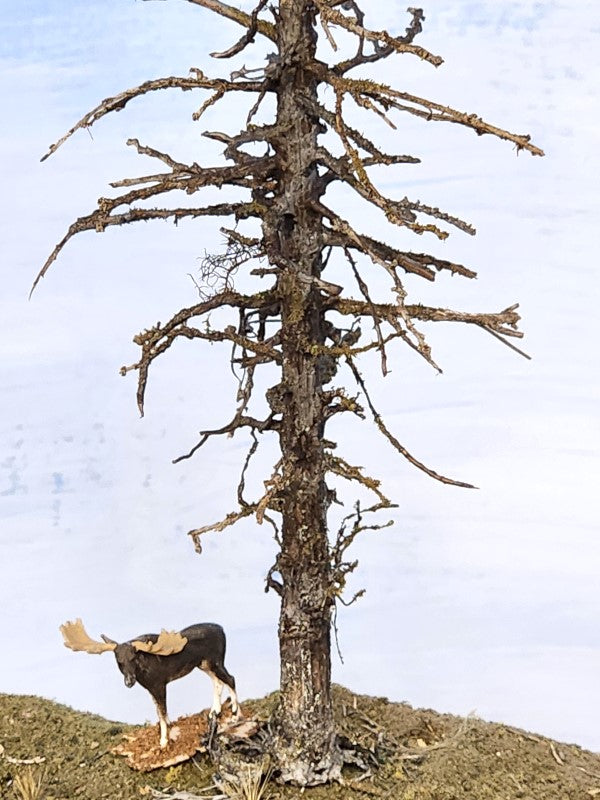 Close up photo of the base of a Snag Dead Ghost tree that is seven inches tall with HO scale Preiser Moose alongside, made by Roger Rasmussen at Coastman's Scenic Products