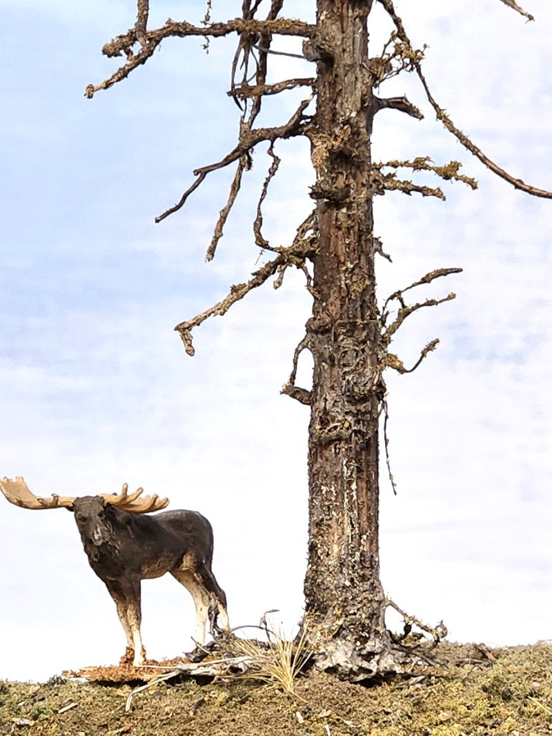 Super close up of base and roots of a Snag Dead Ghost tree that is seven inches tall with HO scale Preiser Moose alongside, made by Roger Rasmussen at Coastman's Scenic Products