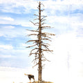 A Snag Dead Ghost tree that is seven inches tall with HO scale Preiser Moose alongside, made by Roger Rasmussen at Coastman's Scenic Products