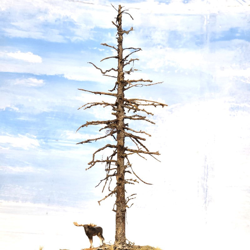 A Snag Dead Ghost tree that is seven inches tall with HO scale Preiser Moose alongside, made by Roger Rasmussen at Coastman's Scenic Products