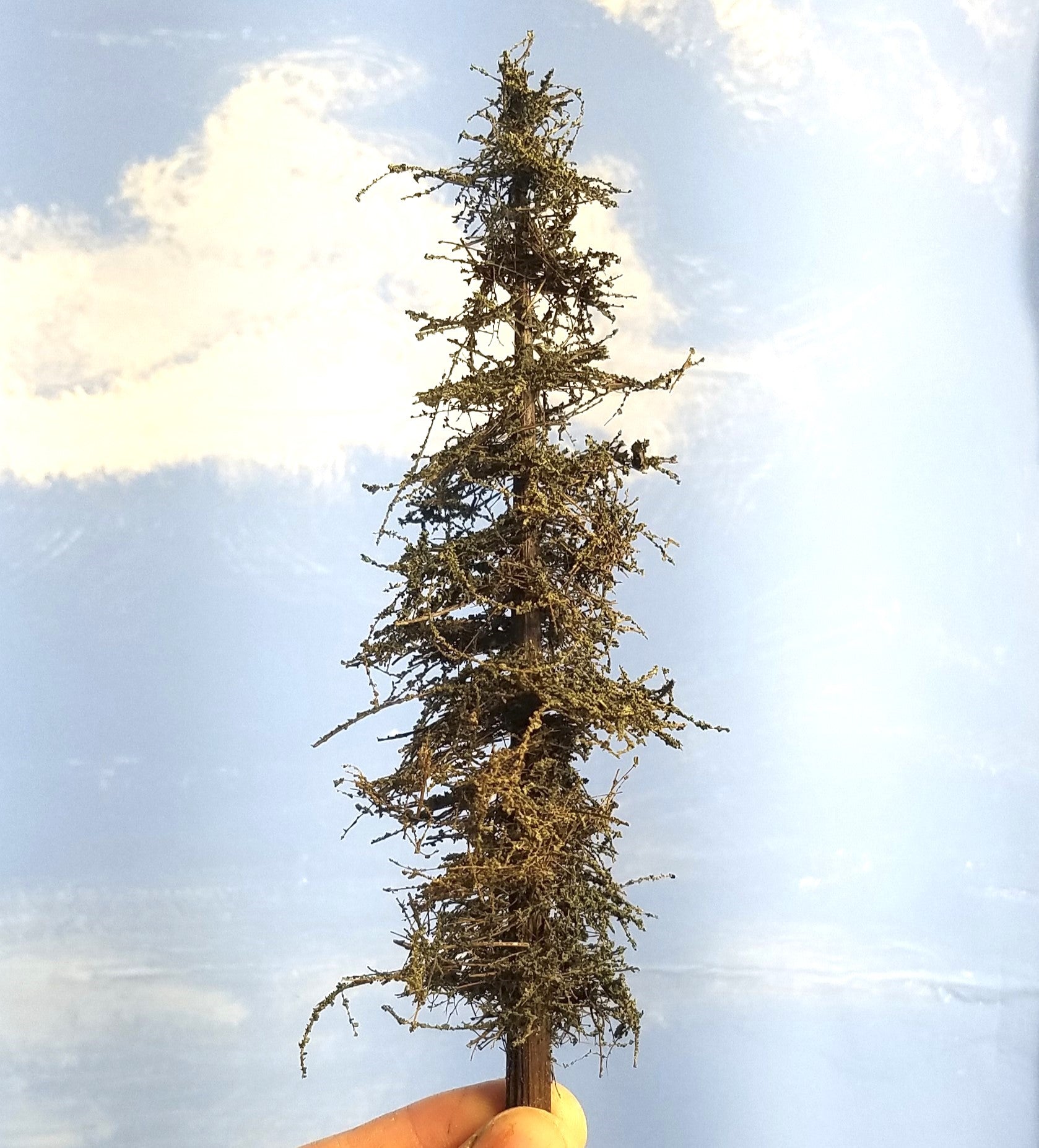 One handheld 7-inch tall Standard Fir Tree made by Roger Rasmussen, Coastman's Scenic Products
