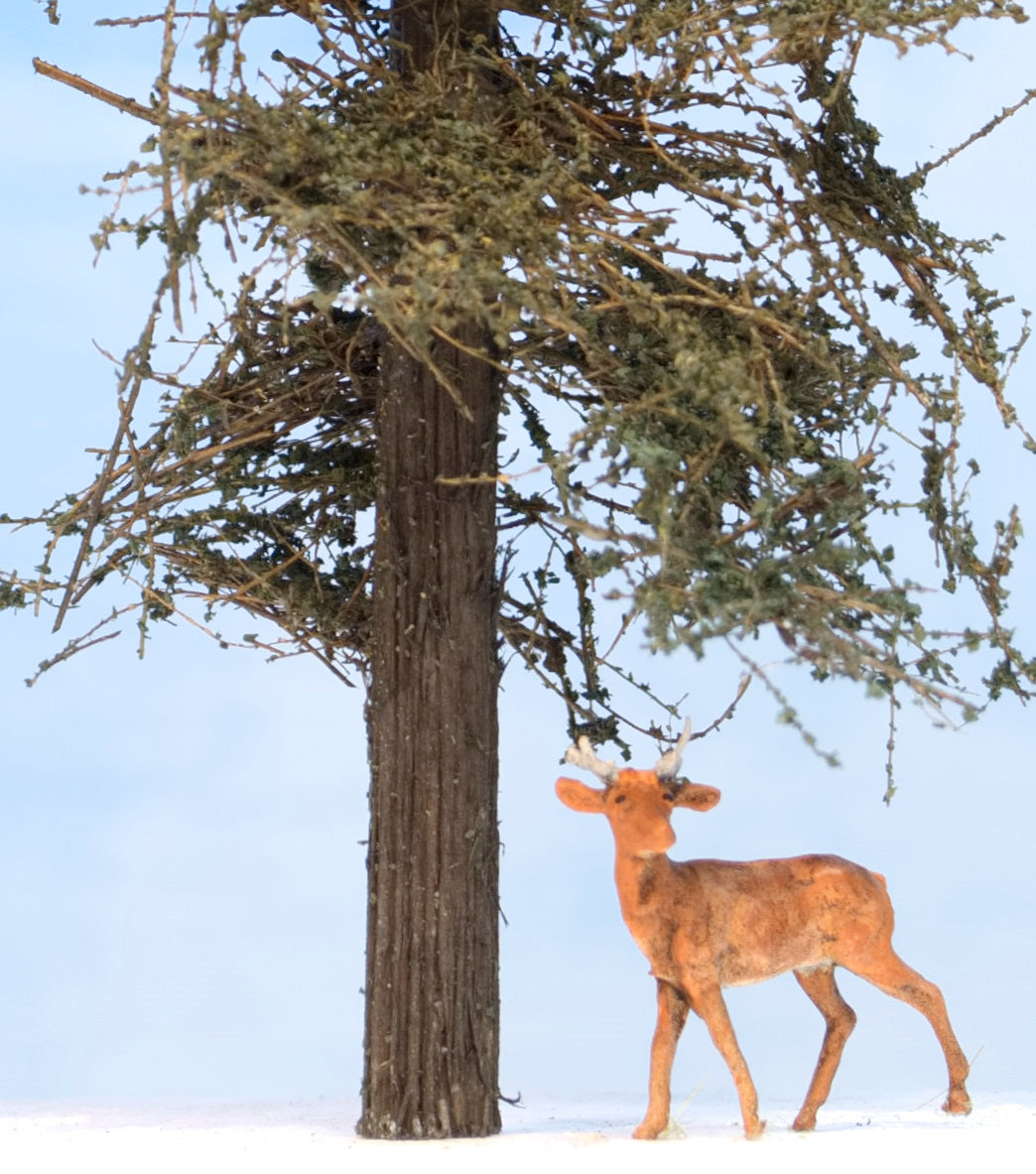Close up shot of  Coastman's 7 inch tall Standard Fir Tree with HO scale deer standing beside it. Photo by Roger Rasmussen, Coastman's Scenic Products, Port Orford, Oregon.