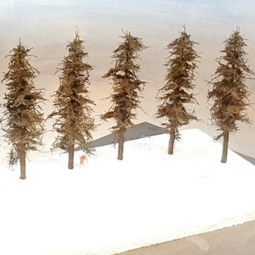 7-inch tall Standard Fir Trees, Five total on white foam base made by Roger Rasmussen of Coastmans Scenic Products, Oregon, with Port Orford Cedar Trunks and exclusive green foliage.