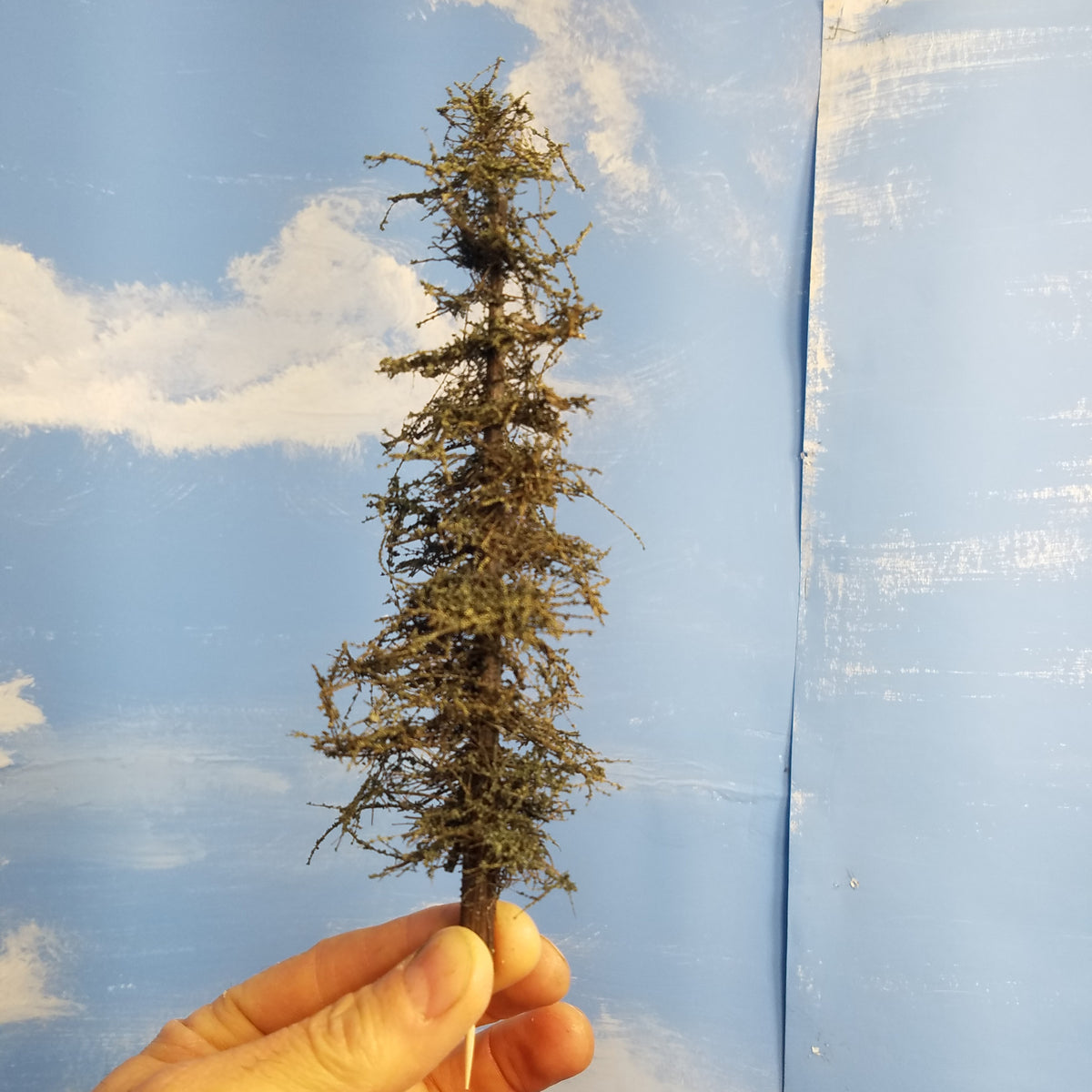 One Coastman's Standard Model Fir Tree handheld against a blue sky backdrop.