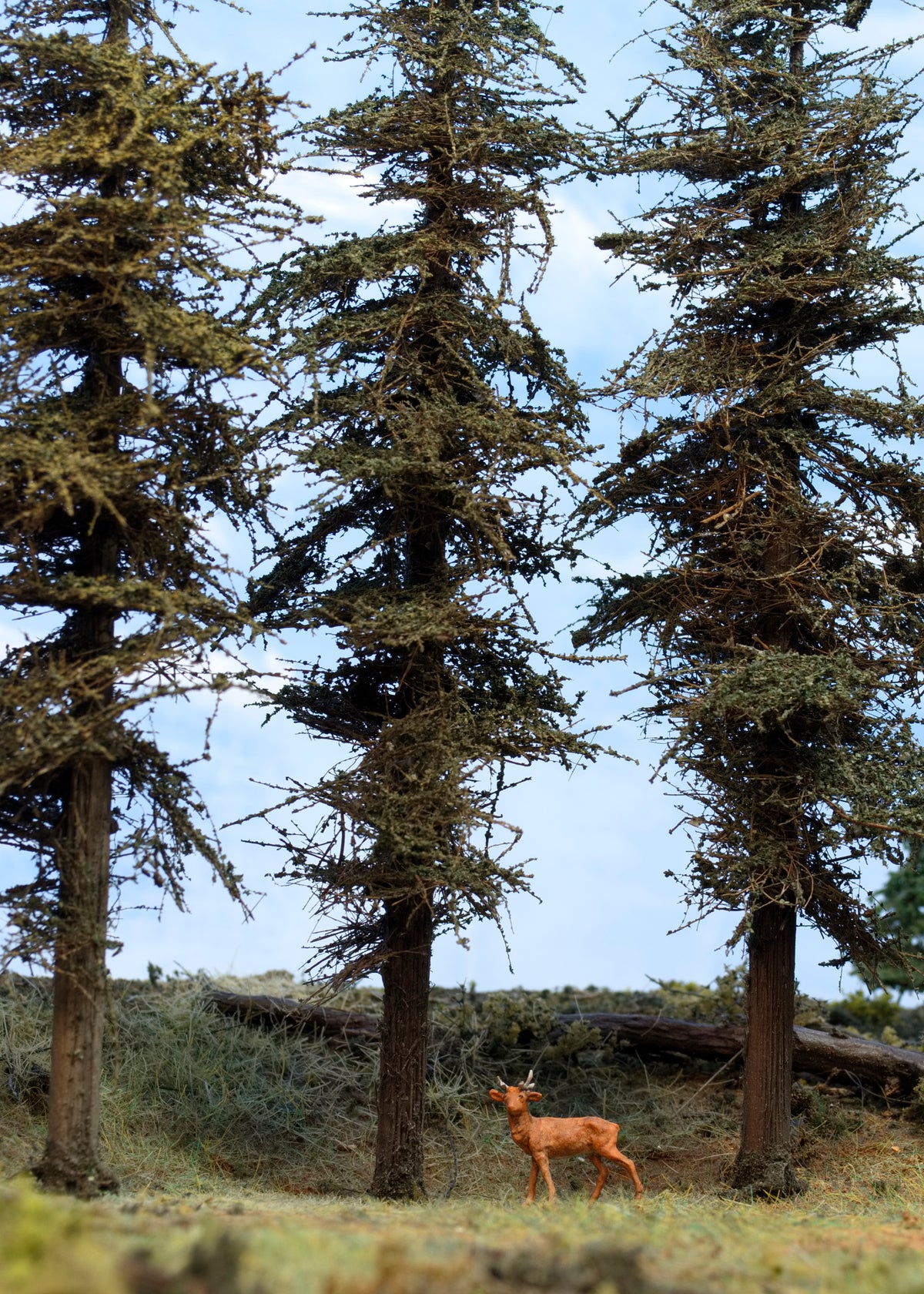 Three Coastman's Standard Model Fir Trees on a diorama base with Preiser HO scale deer alongside showing unique foliage material.