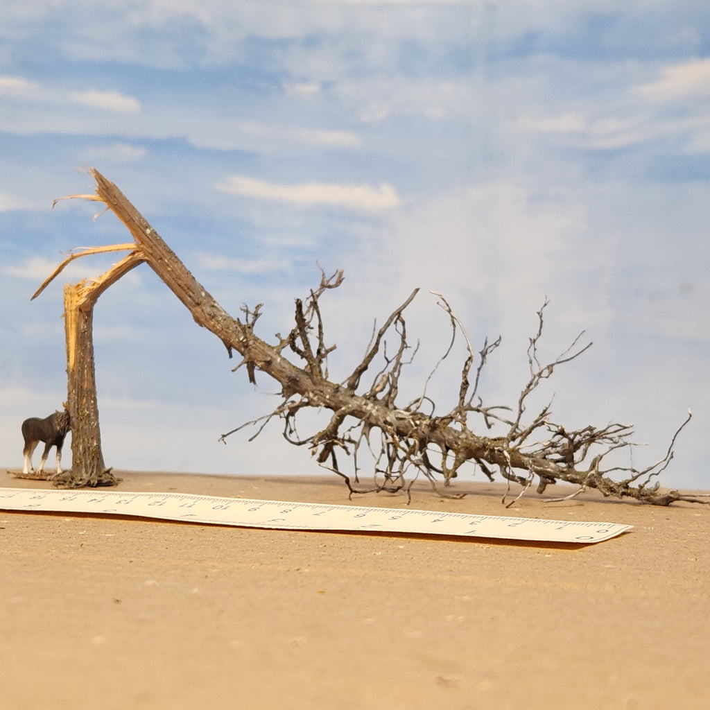 Downed Snag or Ghost Dead Tree, 9"