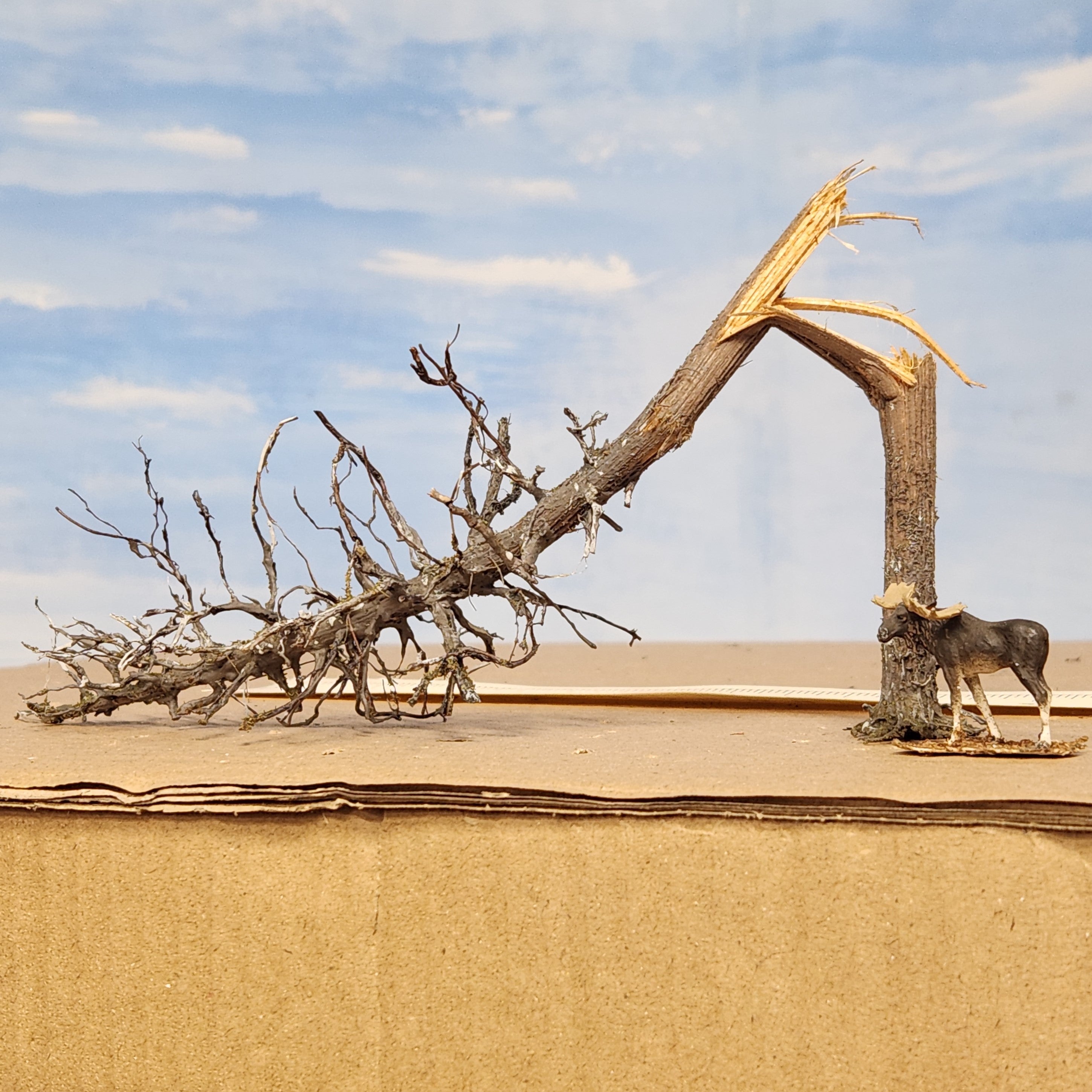 Downed Snag or Ghost Dead Tree, 9"