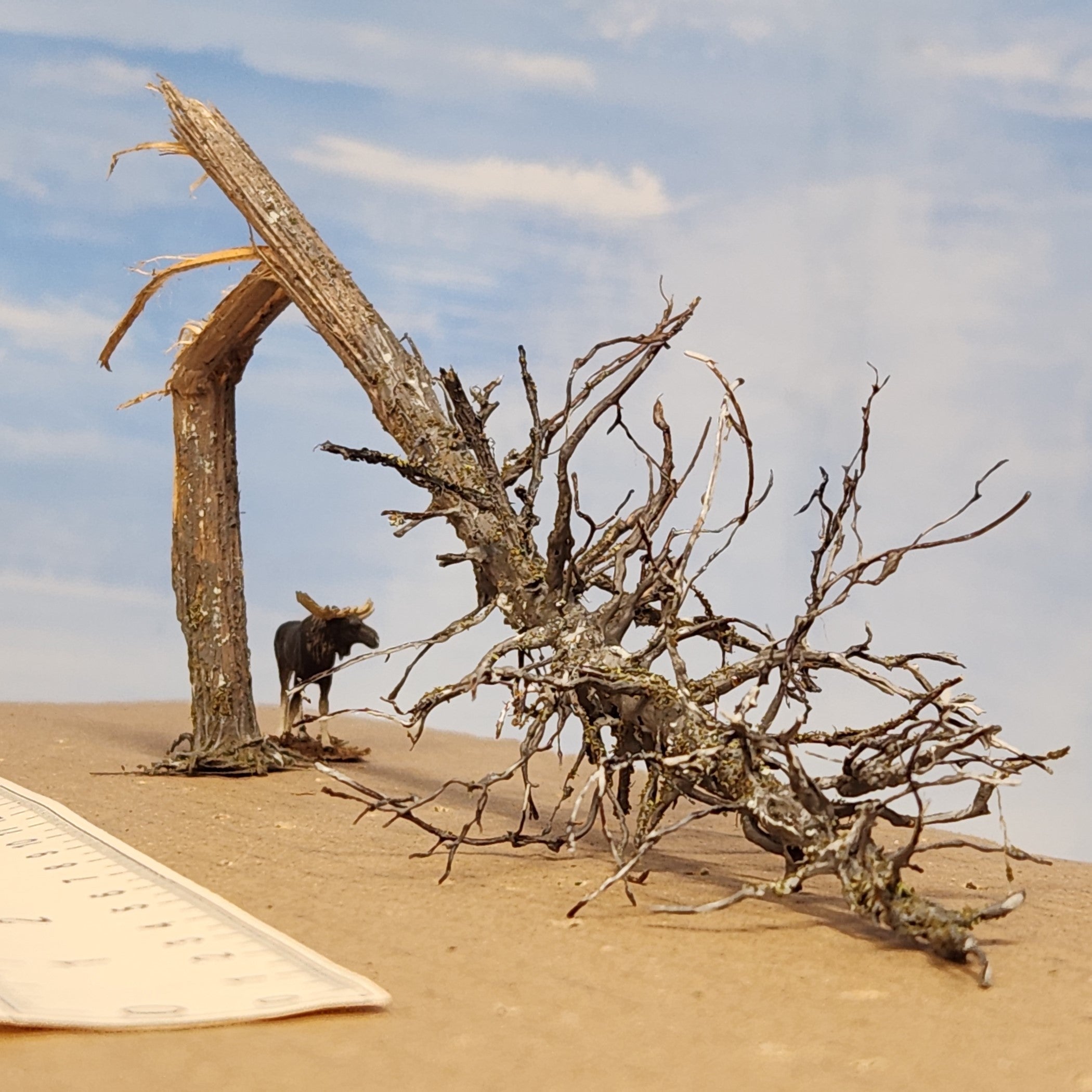 Downed Snag or Ghost Dead Tree, 9"
