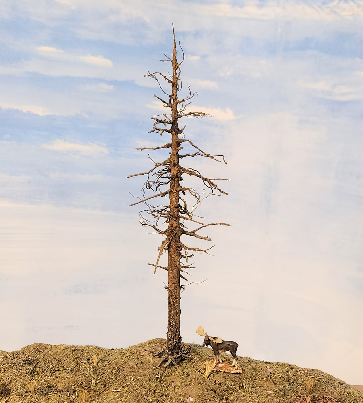 Snag / Dead / Ghost Tree - 9 Inches