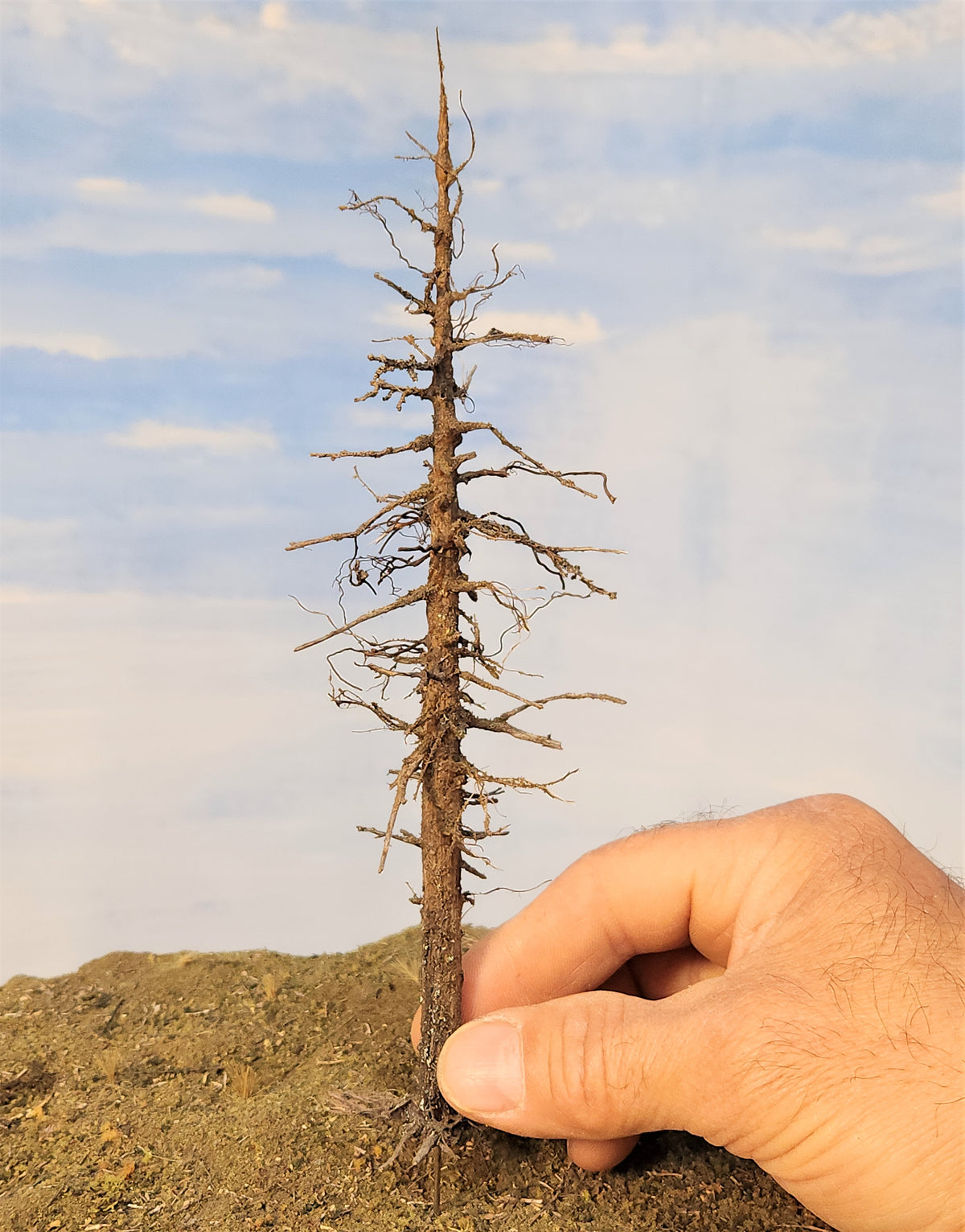 Snag / Dead / Ghost Tree - 9 Inches
