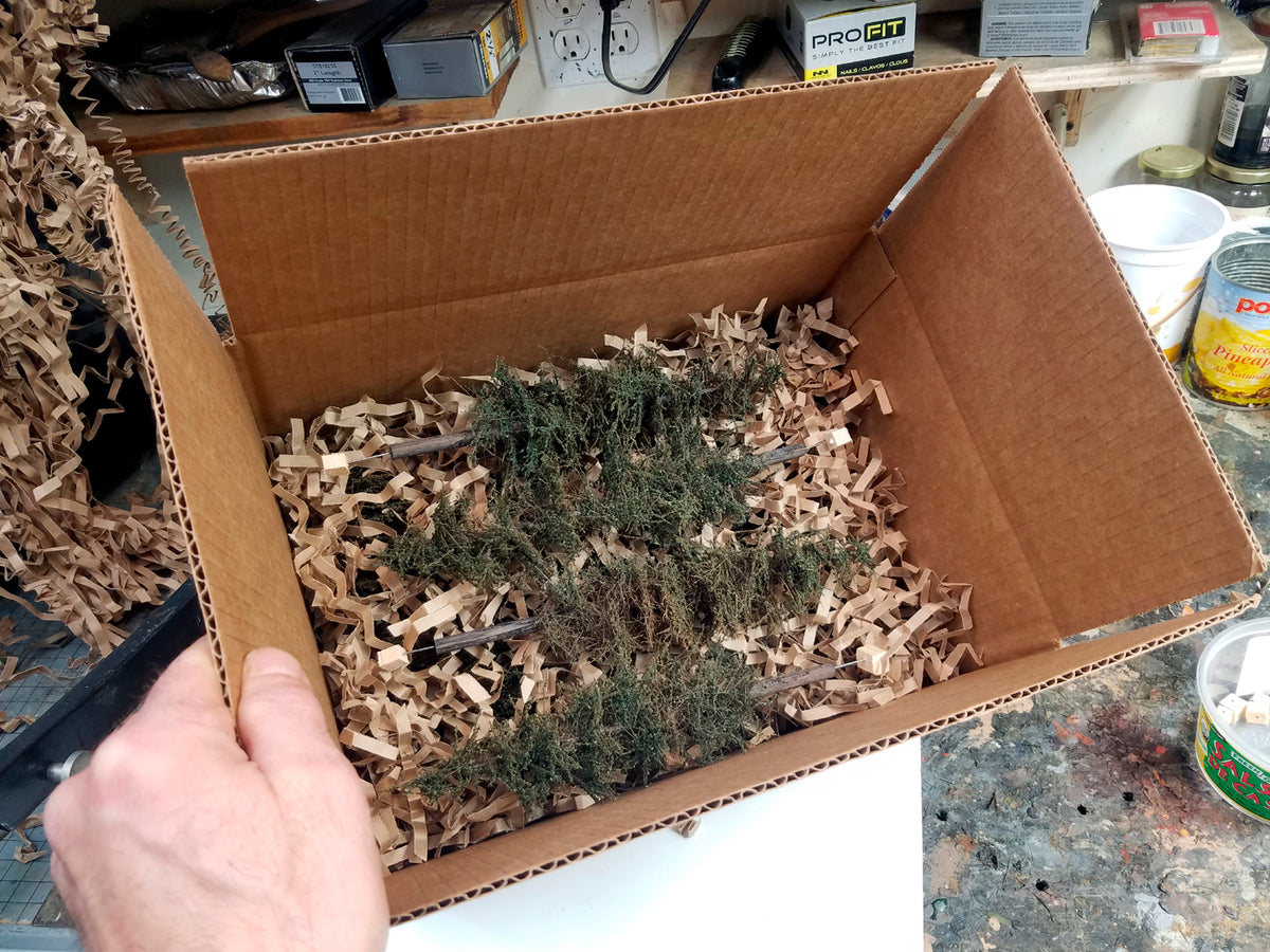 Four nine inch Standard model fir trees made by Coastmans in a shipping box with hand for size reference