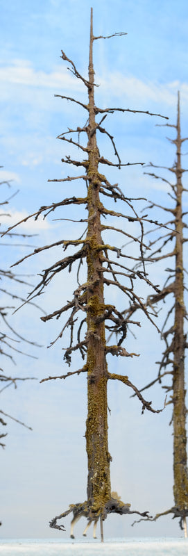 A single 9 to 11 inch tall Snag Dead or Ghost style model tree made by Roger Rasmussen of Coastman's Scenic Products.