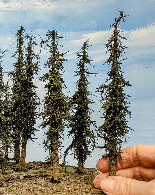 Small alpine style model trees 4 to 6 inches held in a hand against a natural background with trees and sky.