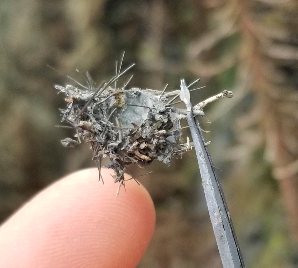 HO Scale 1:87 Bird's Nest Medium with Tweezers and finger for reference tiny super detailed for HO scale model railroad model train forest scenery