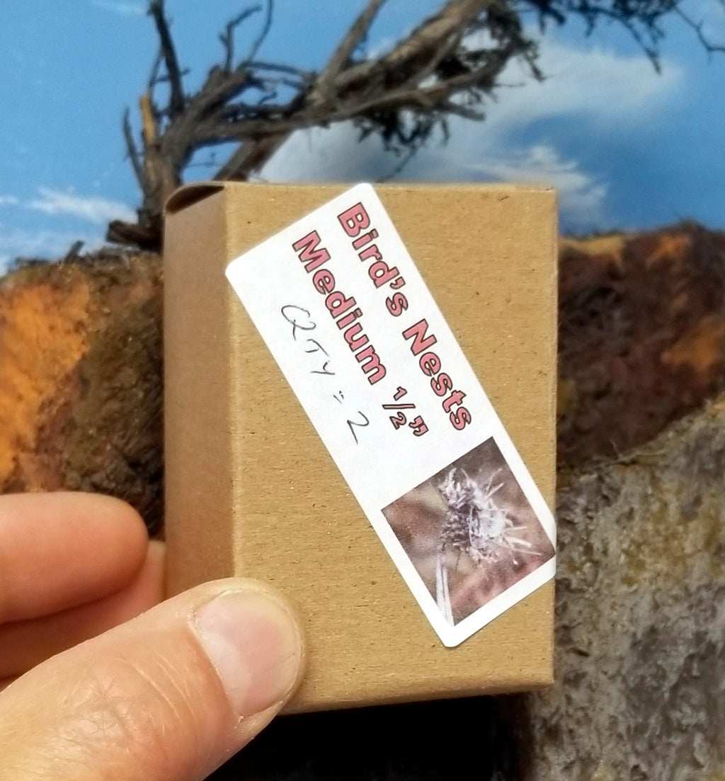 Small cardboard box with a label indicating 'Bird's Nests Medium 1/2' held by a hand against a natural background.