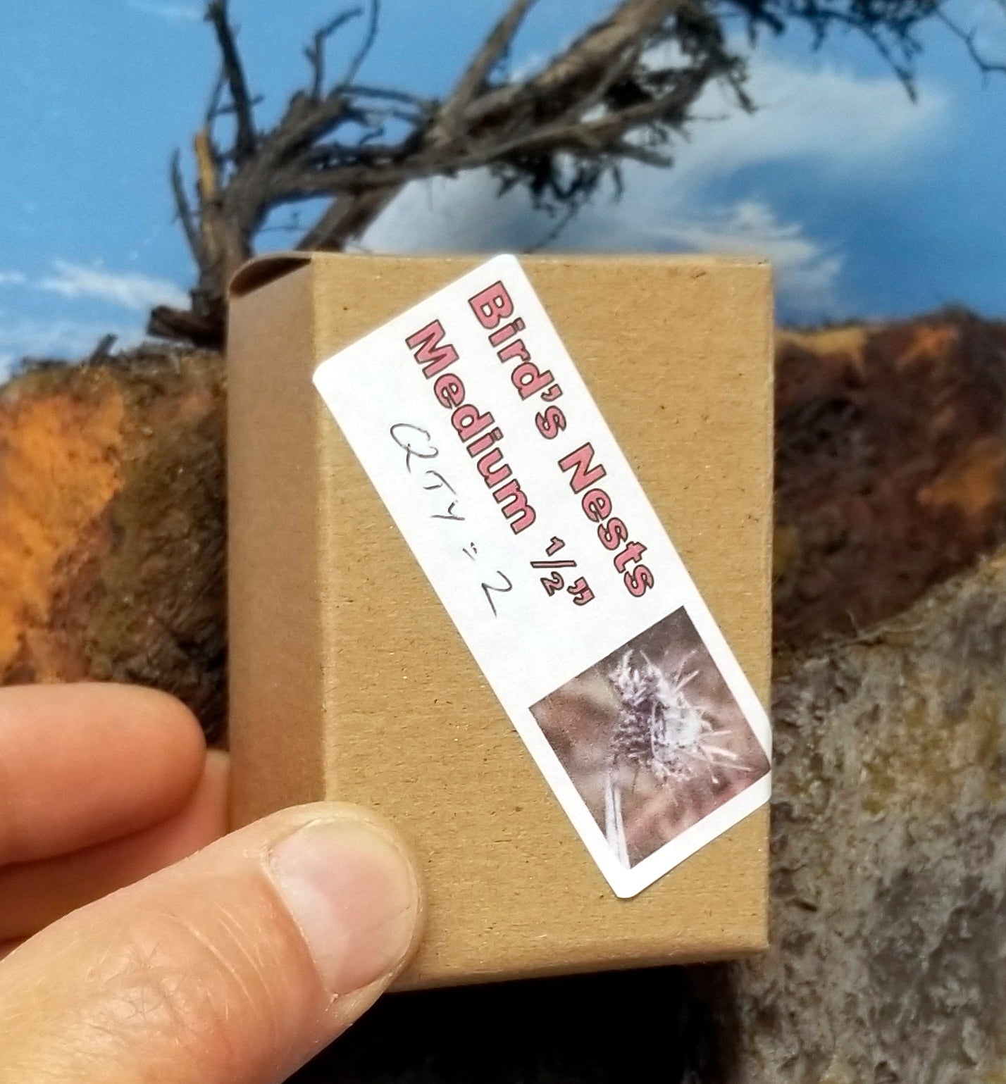 Small cardboard box with a label indicating 'Bird's Nests Medium 1/2' held by a hand against a natural background.