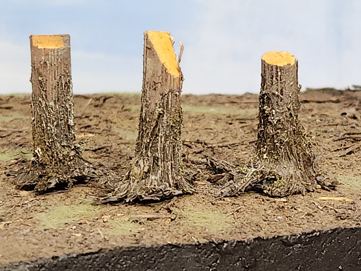 Stumps, 3/8ths Fresh-Cut, Three