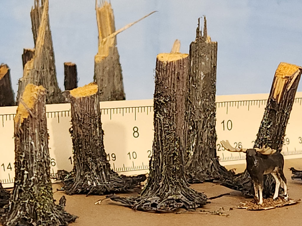 Stumps, 3/8ths Fresh-Cut, Three