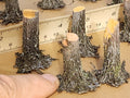 Stumps, 3/8ths Fresh-Cut, Three