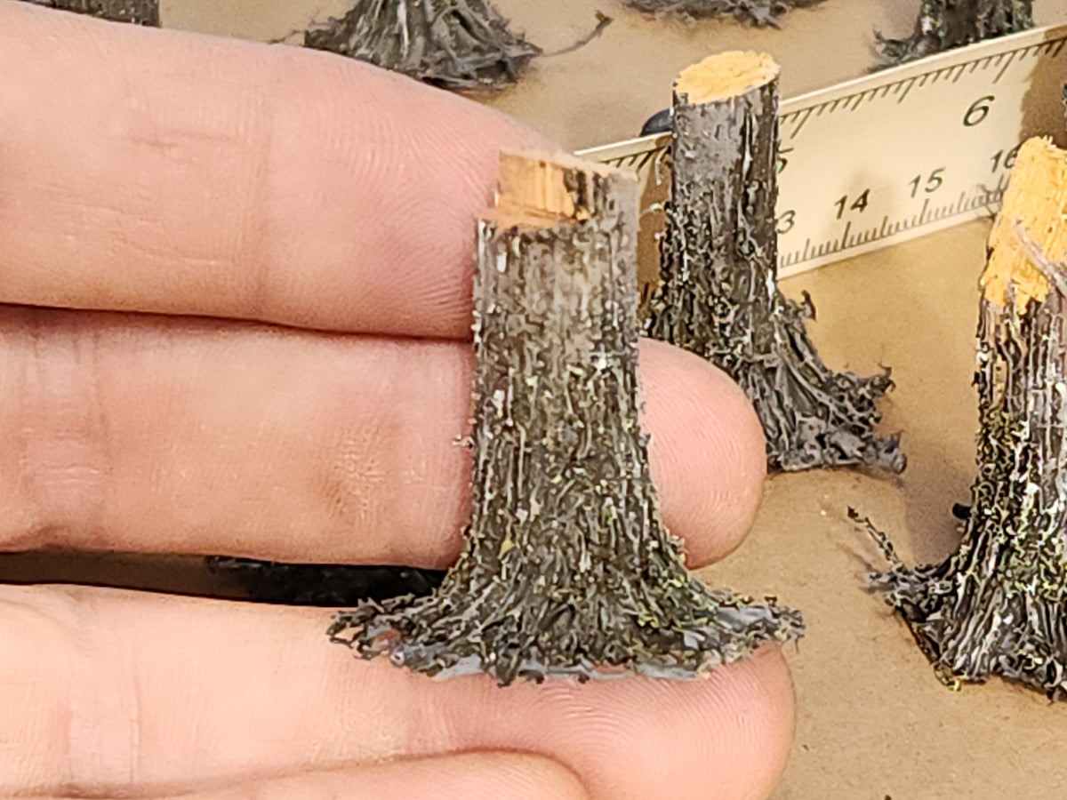 Stumps, 3/8ths Fresh-Cut, Three